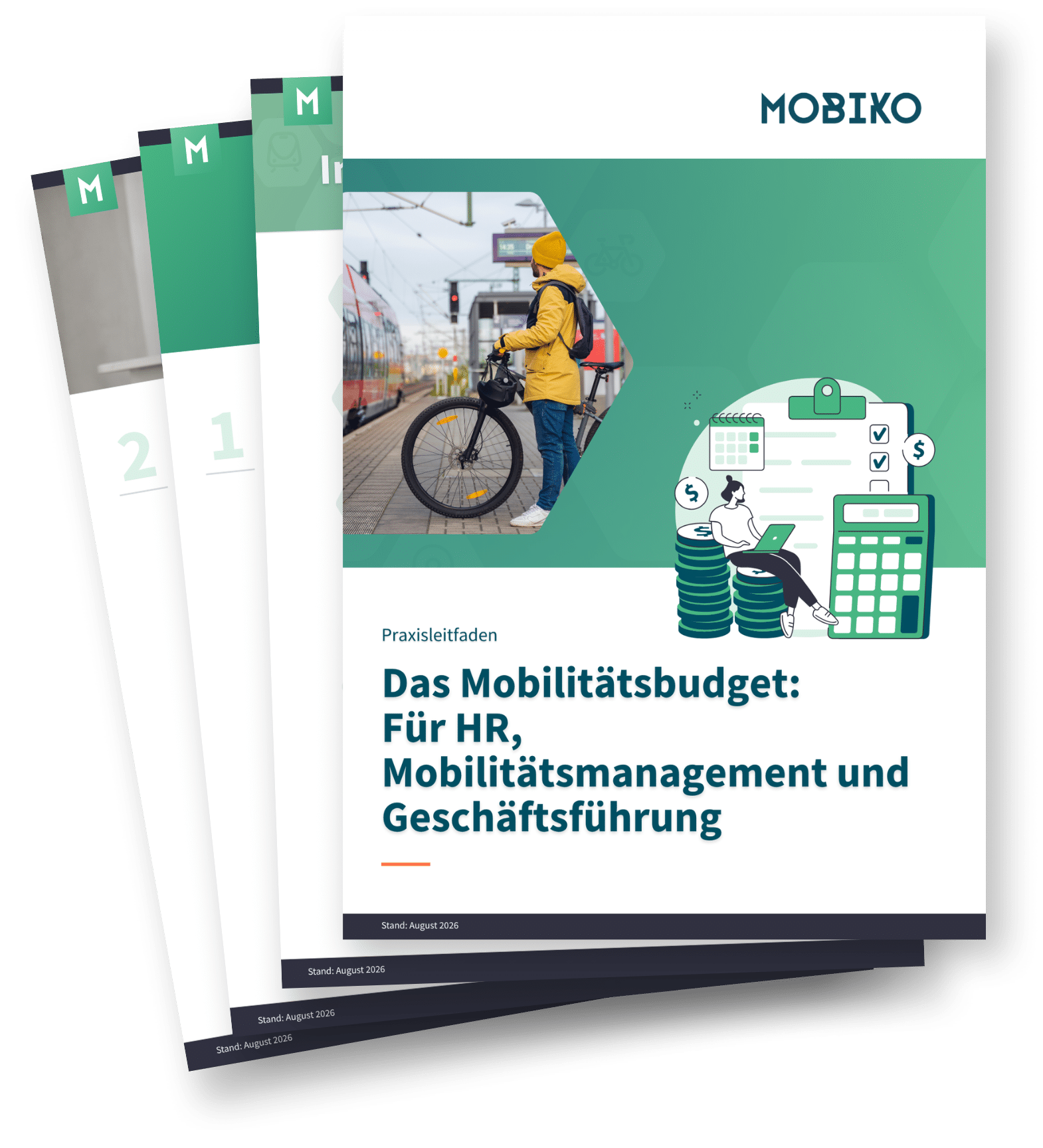 Fächergrafik Whitepaper Das Mobilitätsbudget